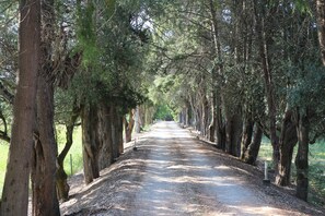 Entrée de l’hébergement