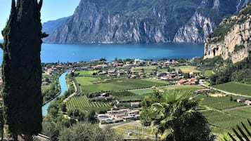 Un pueblo costero con viñedos, un río y montañas al fondo.