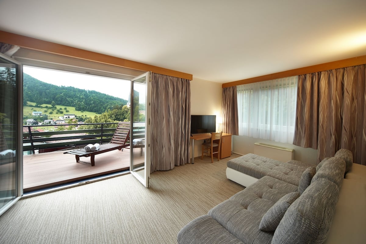 Suite, 1 Schlafzimmer, eigenes Bad, Parkblick | Wohnzimmer