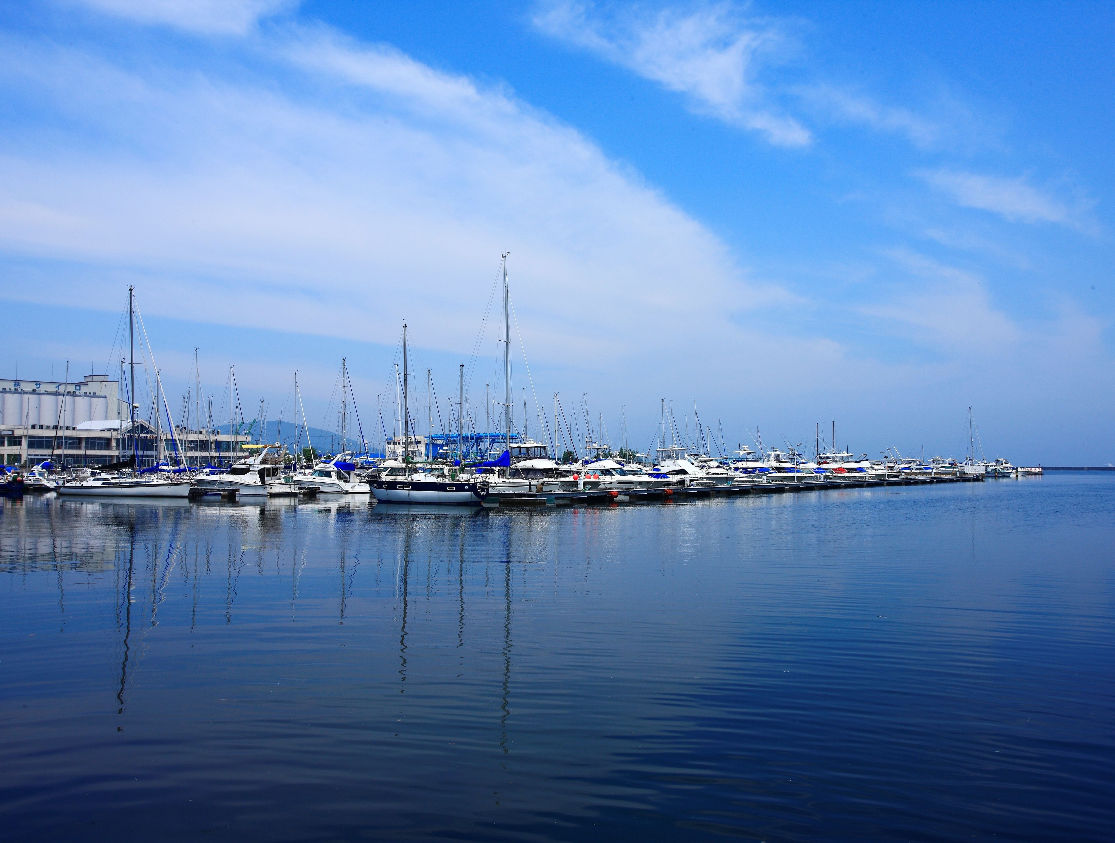A marina with multiple boats docked, calm water, and a clear sky.