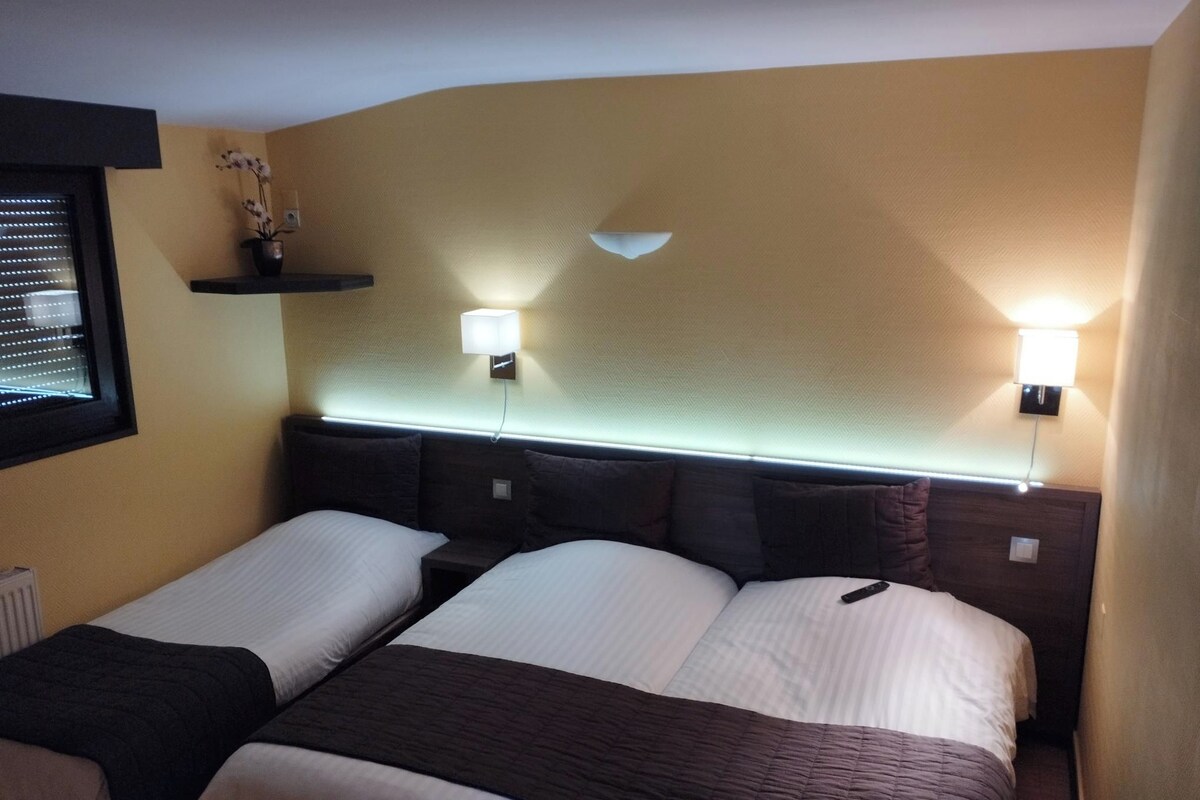 Una habitación de hotel con dos camas, una mesita de noche, un estante en la pared con una planta y dos lámparas de pared.