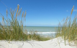 Beach - Auberge de la Dune (Le Crotoy)