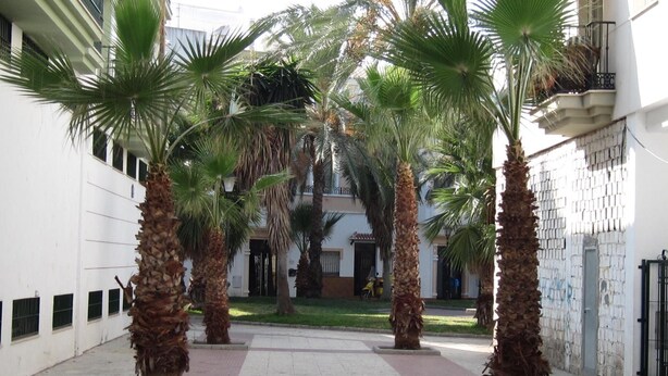 A courtyard with palm trees, a tiled walkway, and a building with balconies. - Mary Tere (Salobreña)