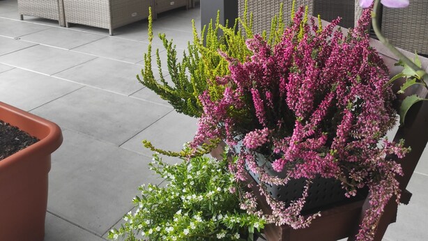 An outdoor patio area with wicker furniture, potted plants, and a pergola structure. - Hotel Oyten am Markt (Oyten)