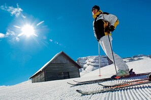Exterior - Majestic Mountain Charme Hotel (Pinzolo)