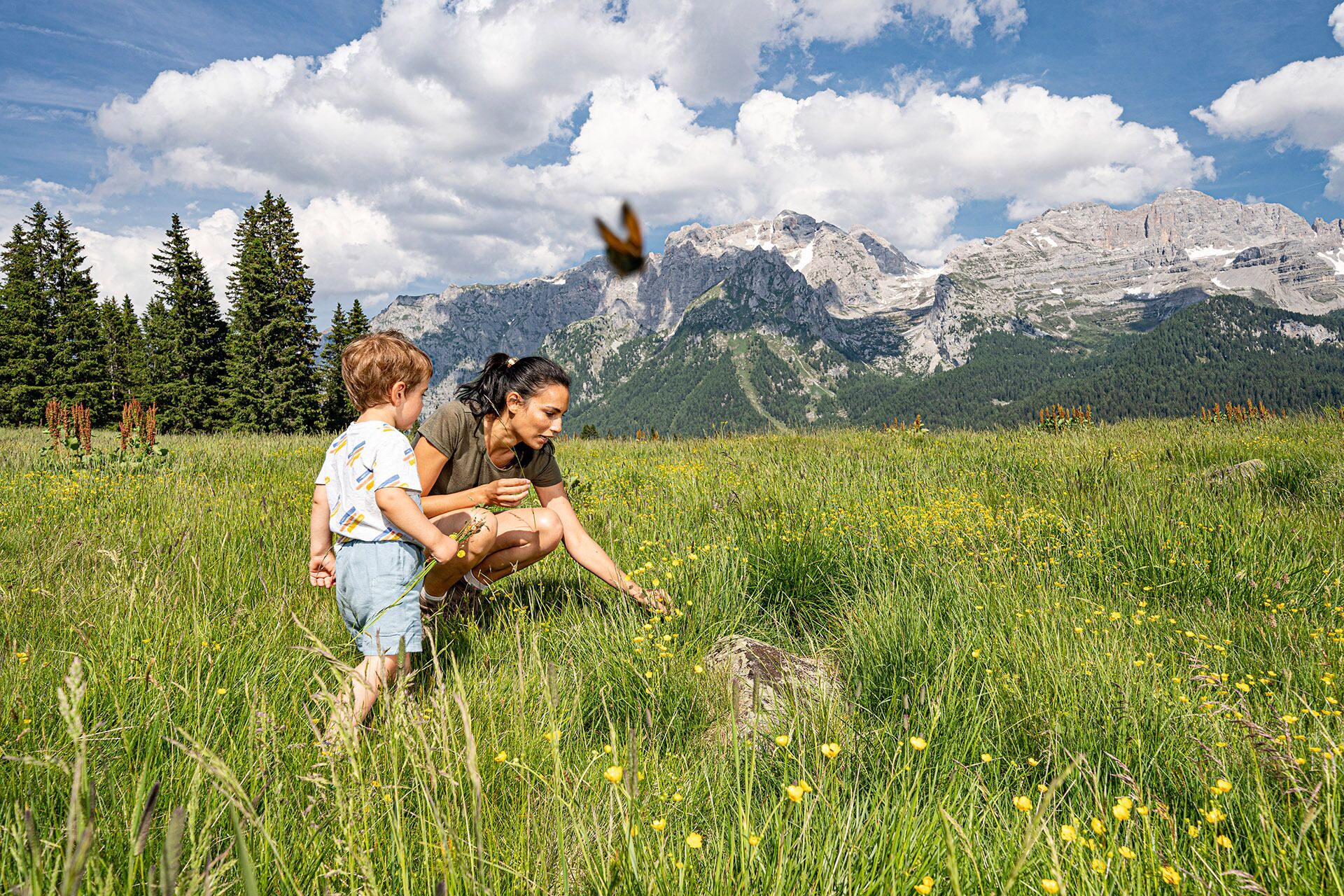 Photo - Majestic Hotel