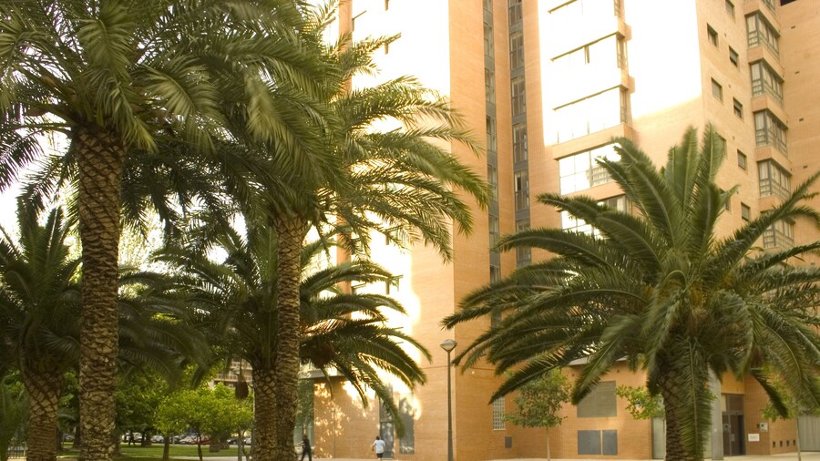 Apartamentos Plaza Picasso