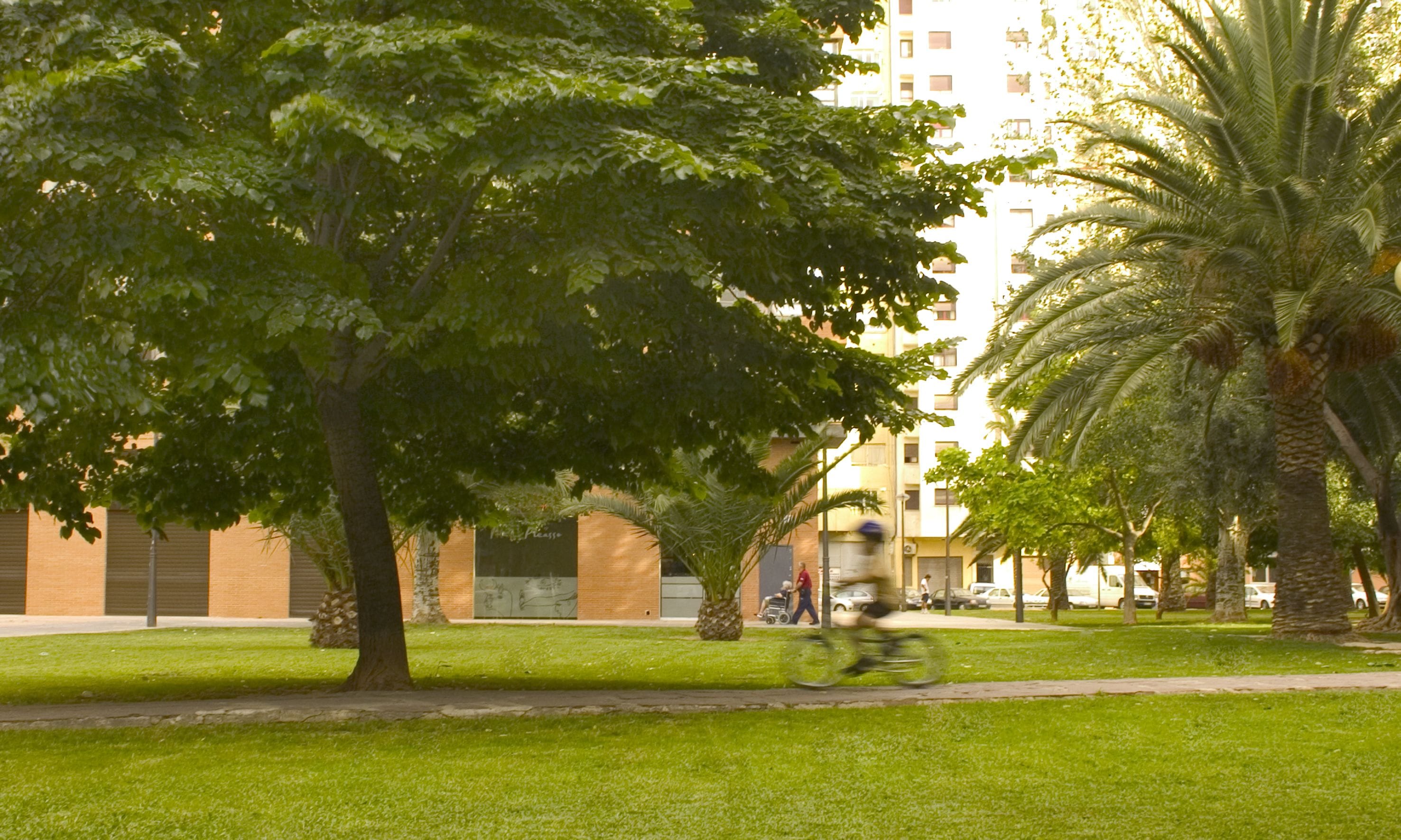 Un parque con árboles, césped y un edificio al fondo.