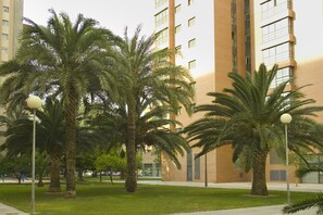 Jardim