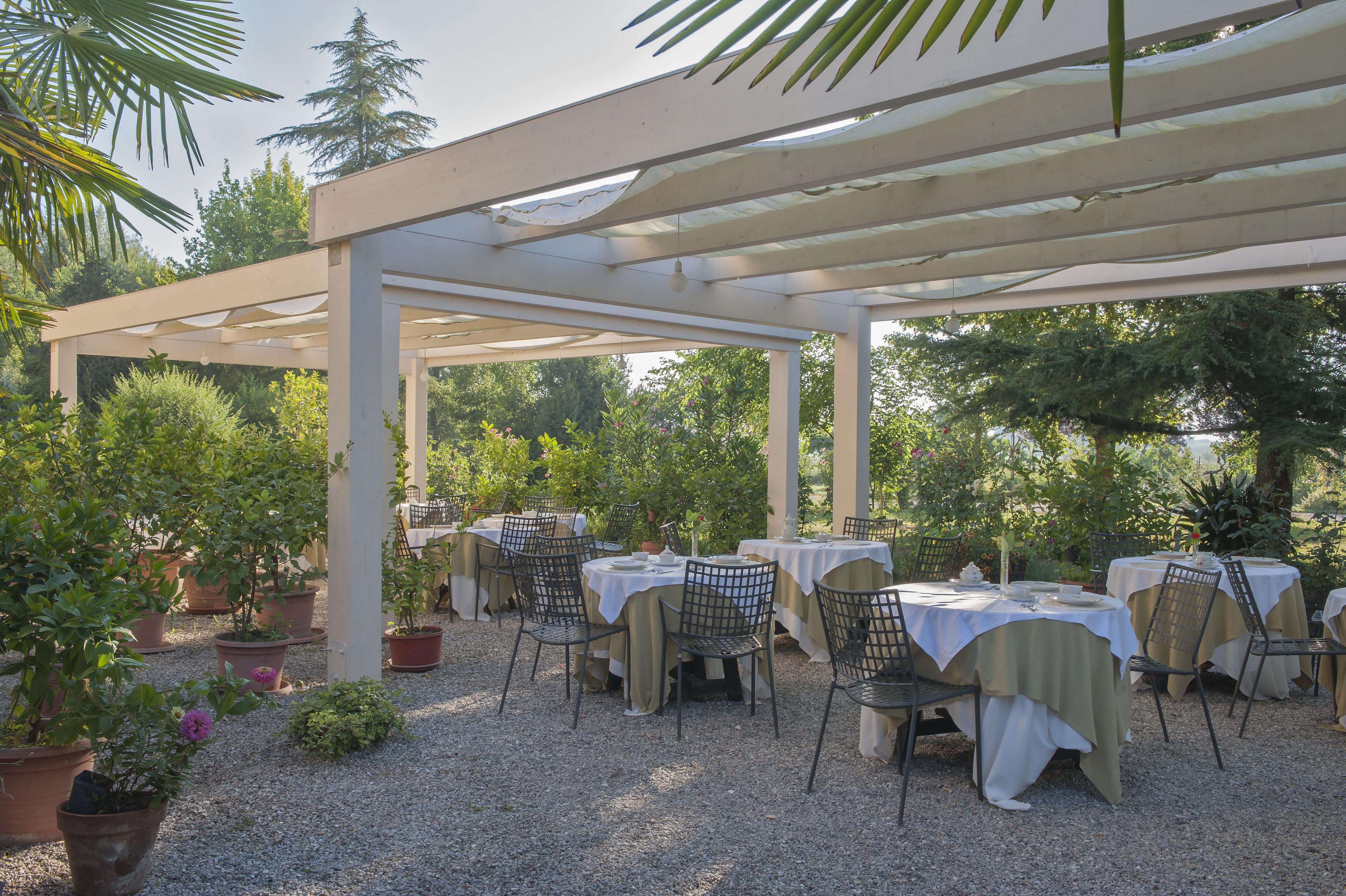 Un patio al aire libre con mesas y sillas, rodeado de macetas con plantas y árboles.