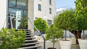 Fachada de hotel de vidrio, con mesas al aire libre y plantas en macetas.