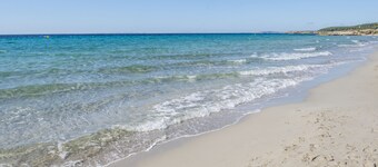 Hamilton Court  Apartamentos