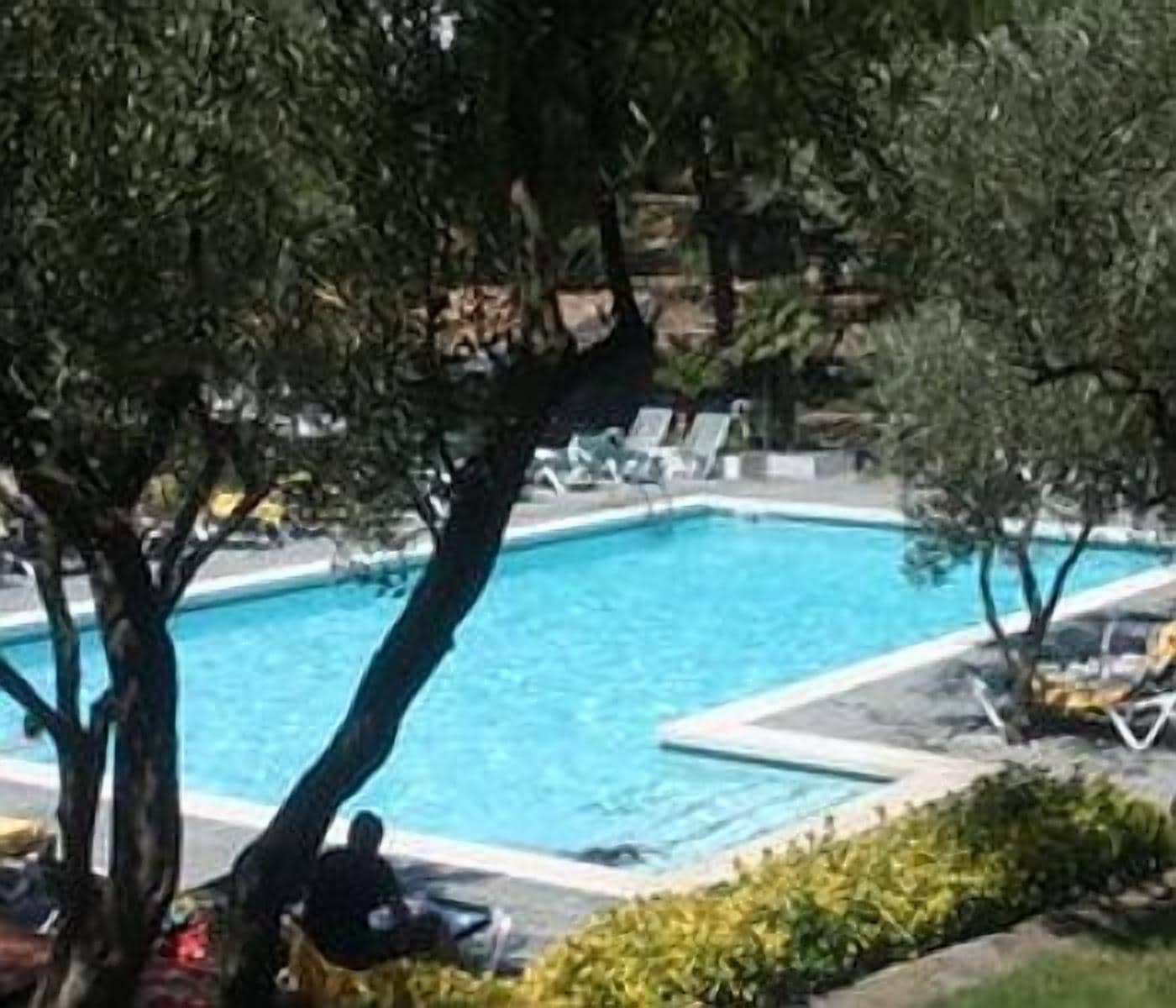 Piscina com espreguiçadeiras e uma árvore ao primeiro plano.