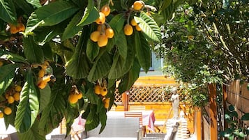 Jardín