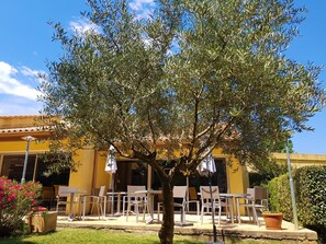 Ein Sitzbereich im Freien mit Tischen und Stühlen, ein Baum und ein gelbes Gebäude im Hintergrund.