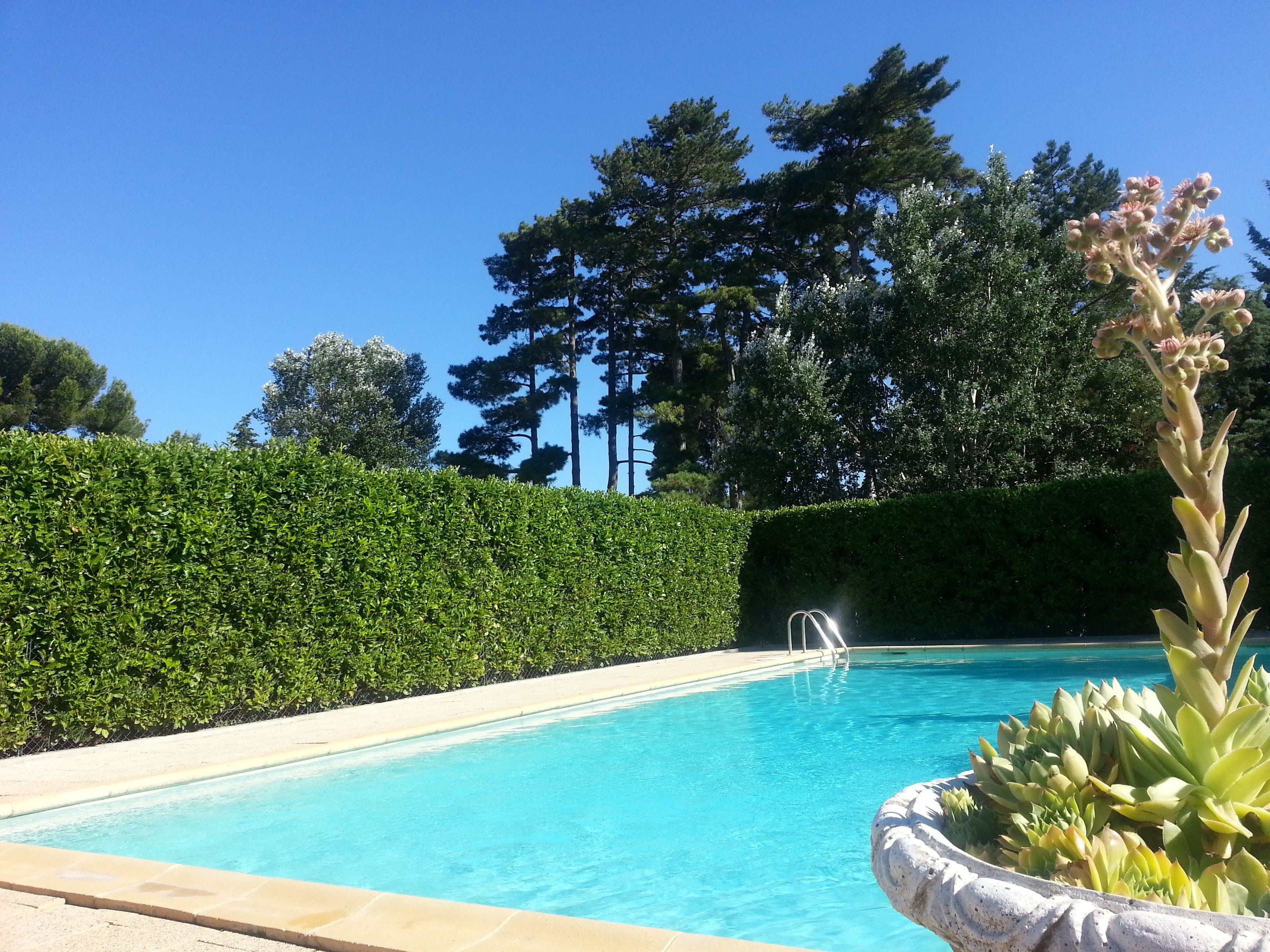 Piscine extérieure (ouverte en saison), chaises longues