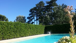 Une piscine d’un bleu éclatant, entourée d’une haie et d’arbres aux formes soigneusement taillées.