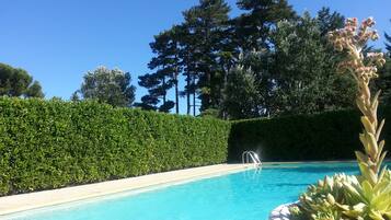 Seasonal outdoor pool, sun loungers