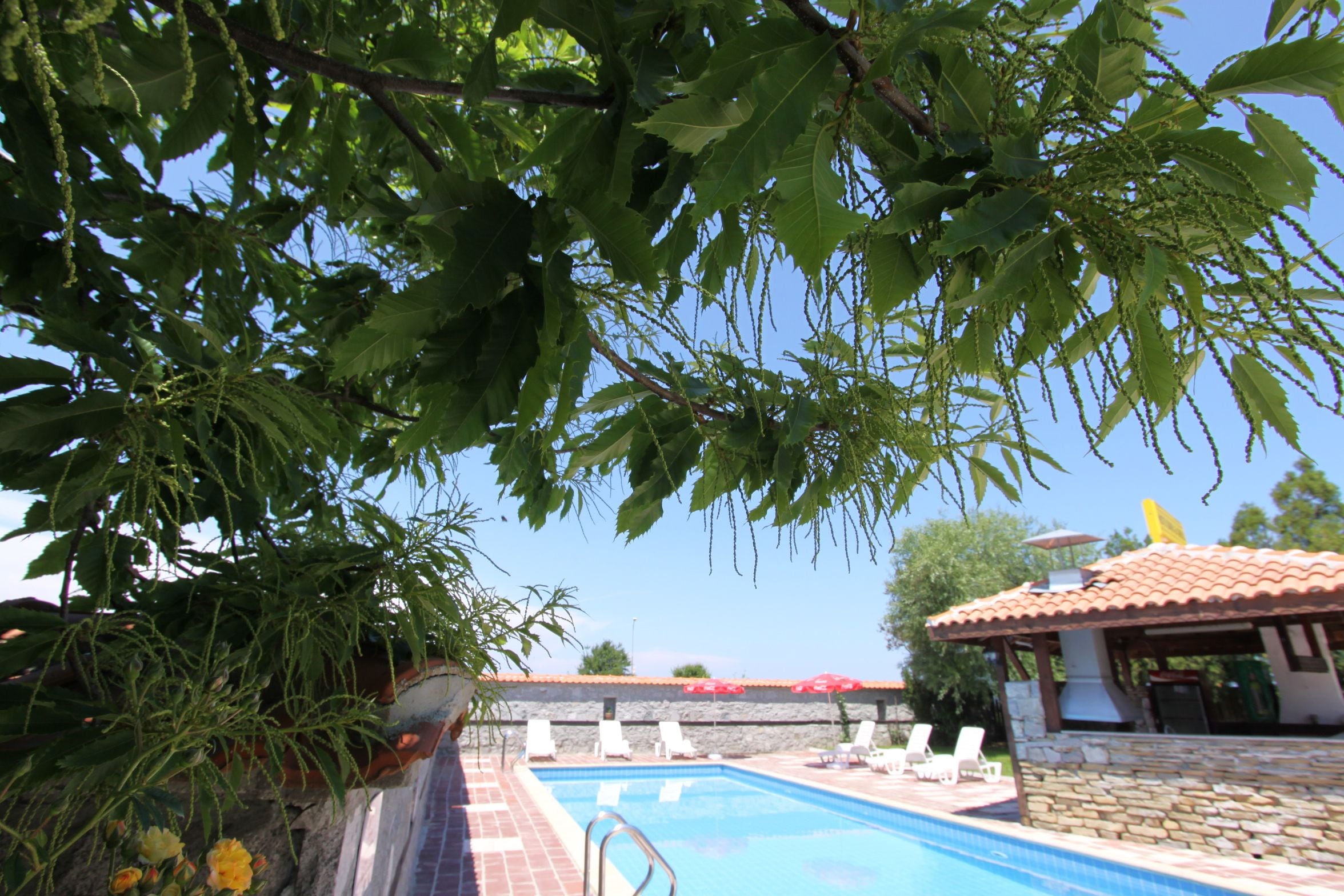 Piscine extérieure, parasols de plage, chaises longues