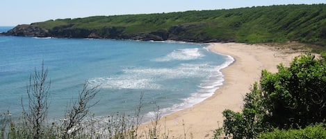 Una playa cerca, sombrillas