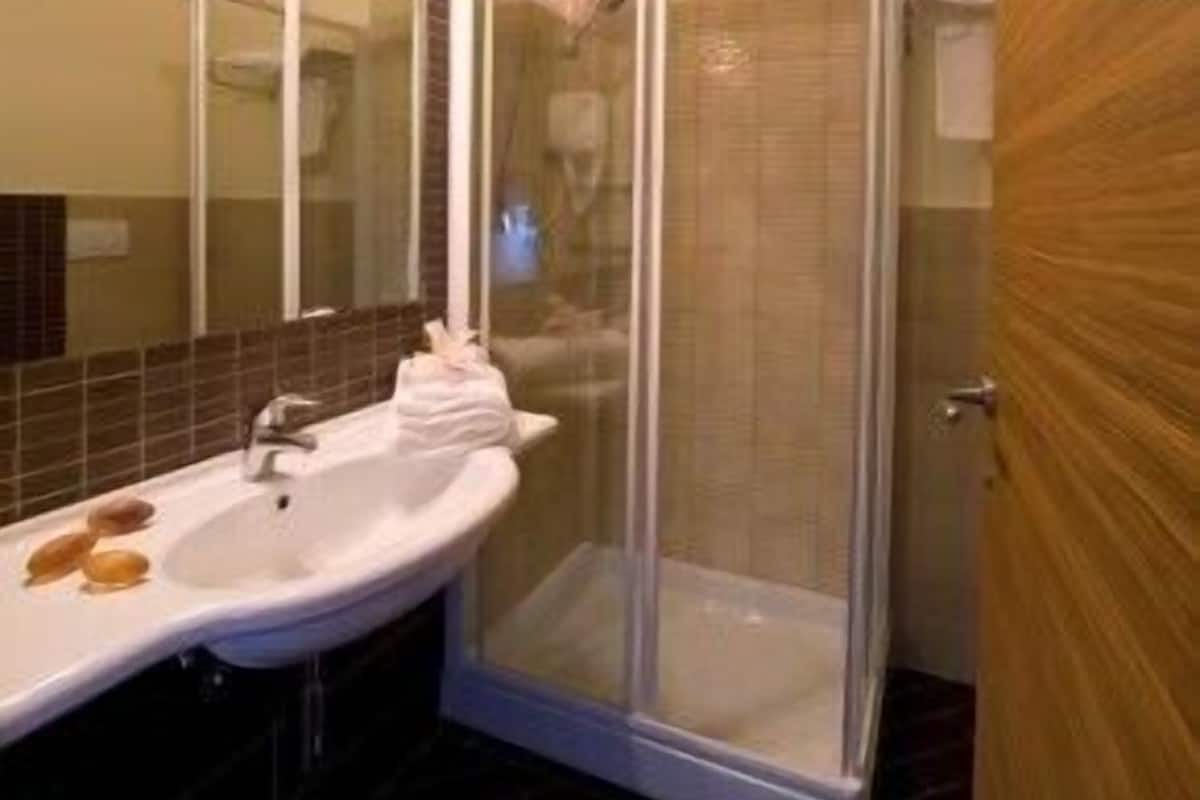 shower, free toiletries, hair dryer, bidet