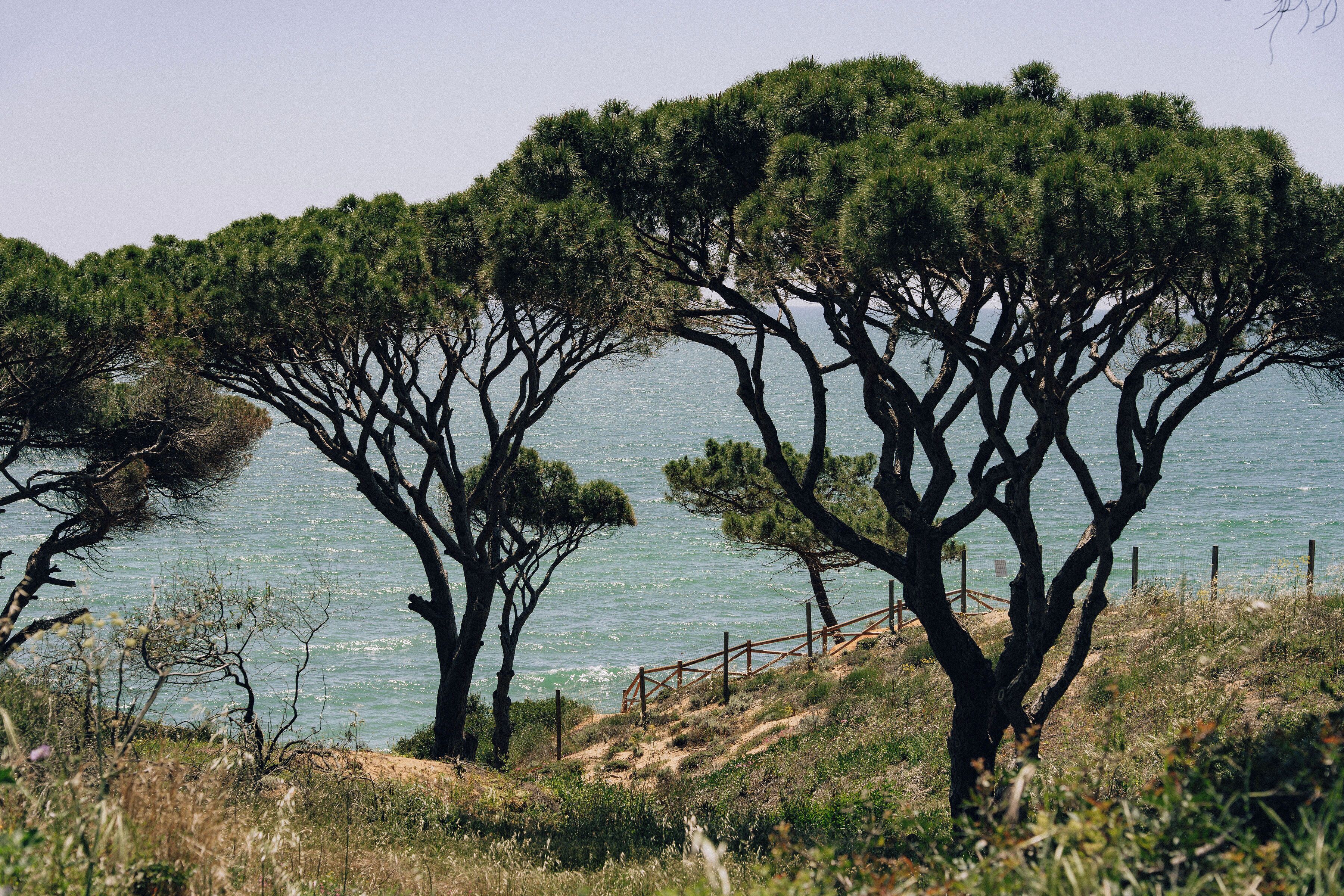 Photo - Masana Algarve