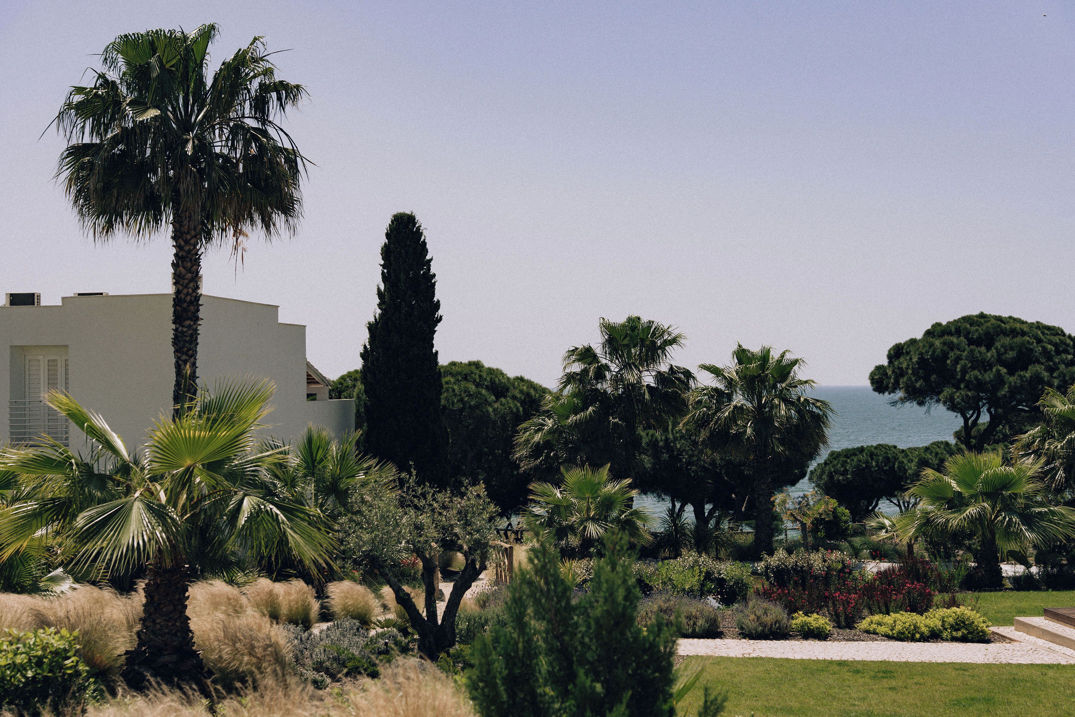 Photo - Masana Algarve