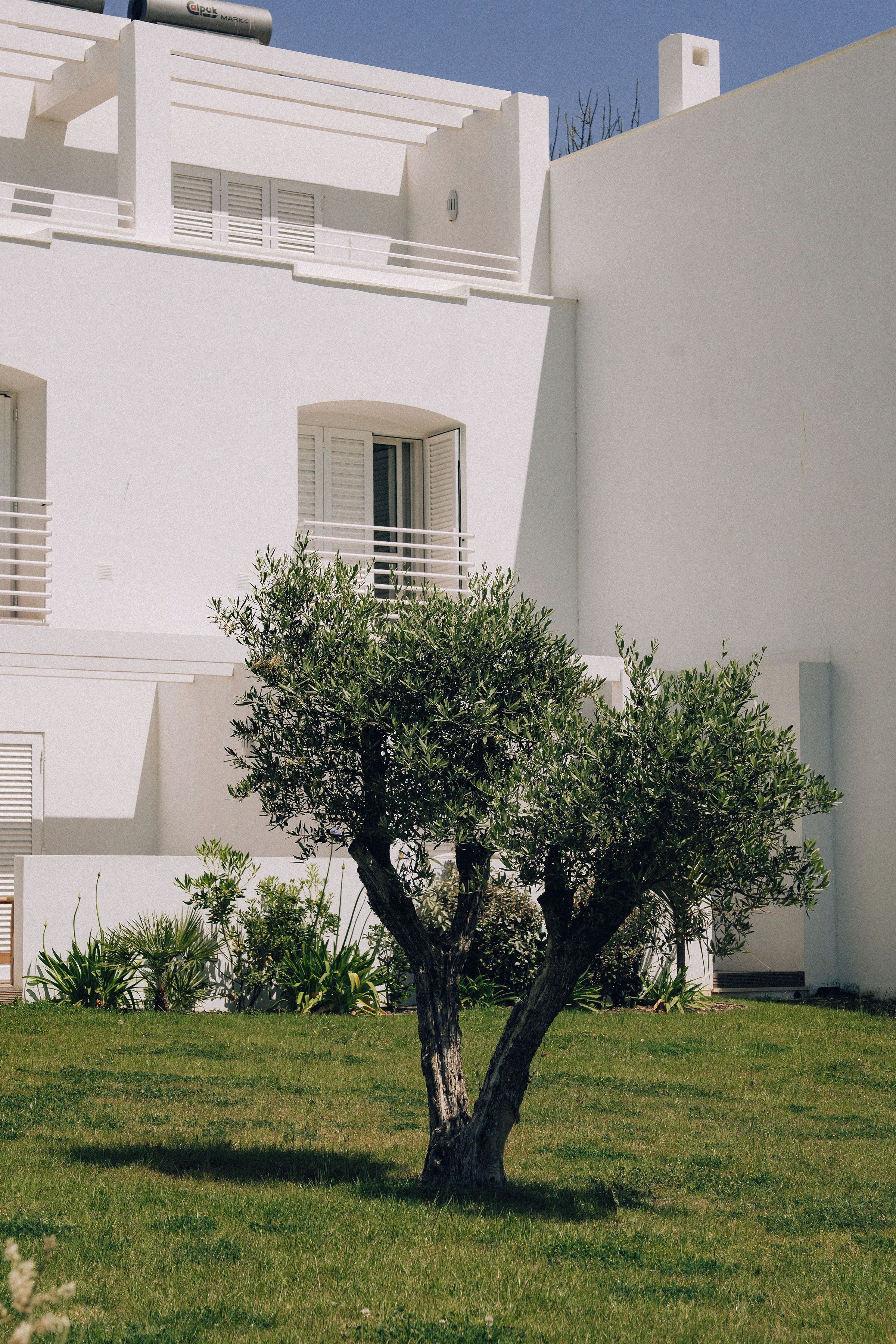 Foto - Masana Algarve