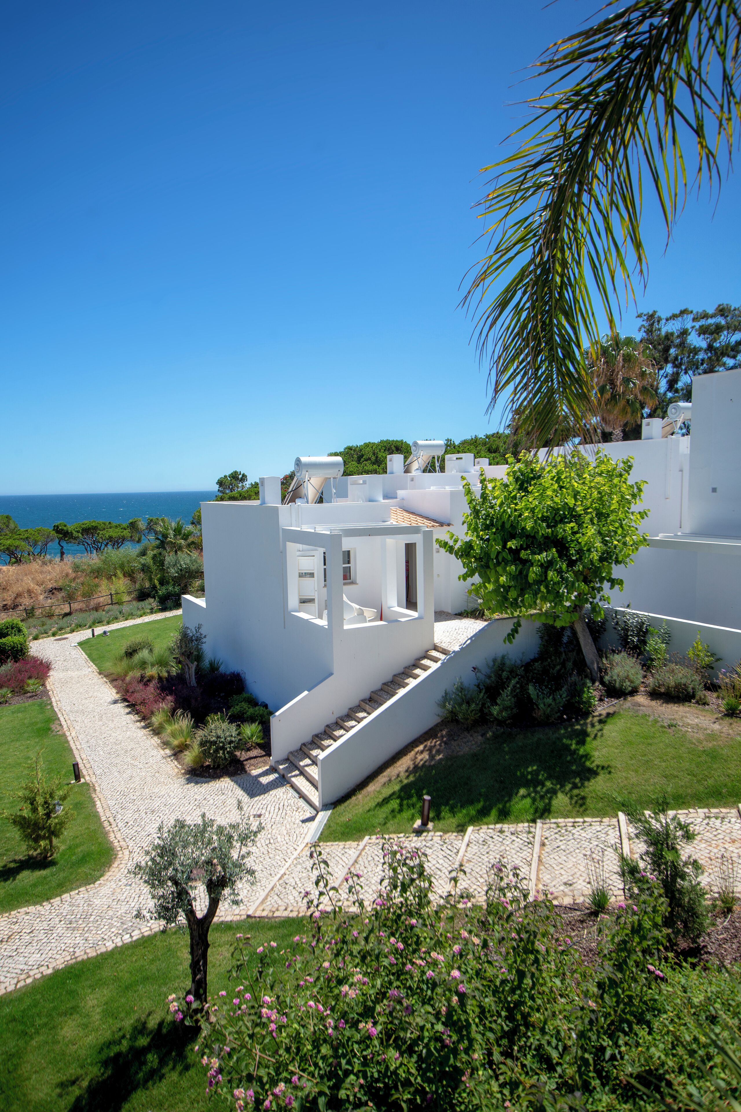 Photo - Masana Algarve