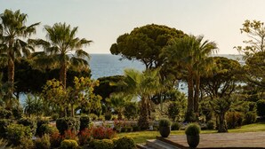 A landscaped garden with palm trees, a large tree, and a view of the sea. - Masana Algarve, a Destination by Hyatt (Albufeira)