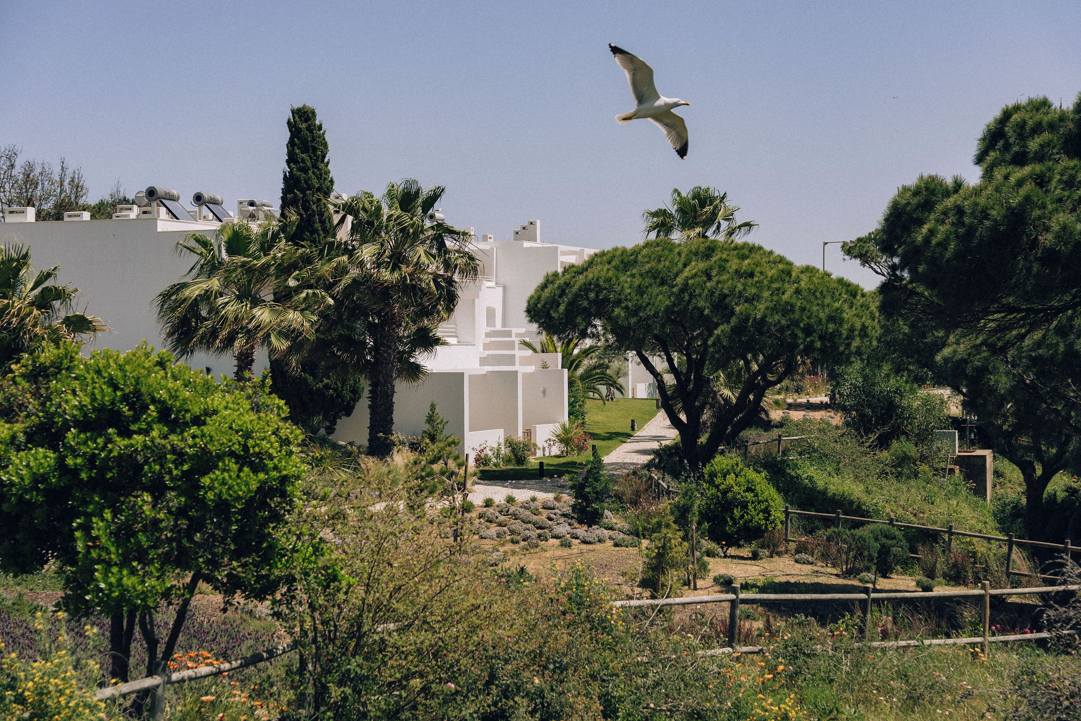 Photo - Masana Algarve