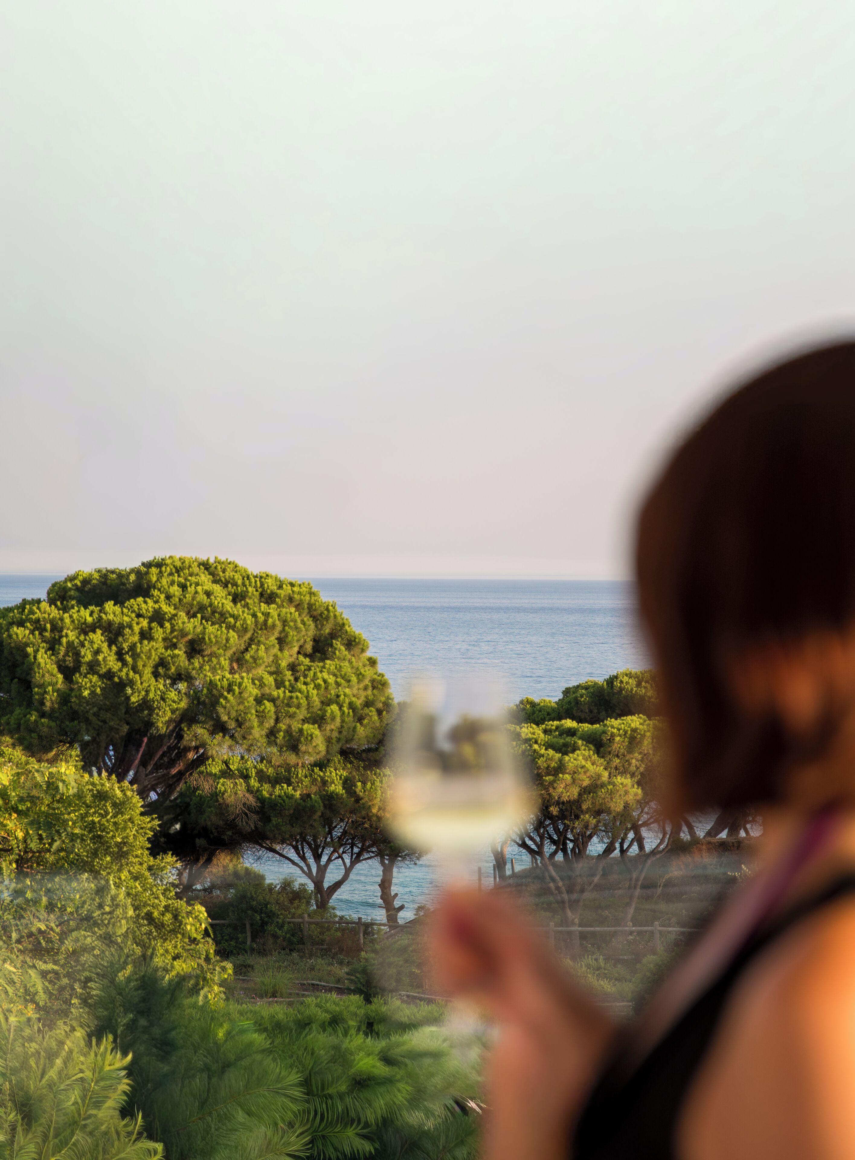 Una persona sosteniendo una copa de vino blanco, con vista a un paisaje costero con árboles y el mar.