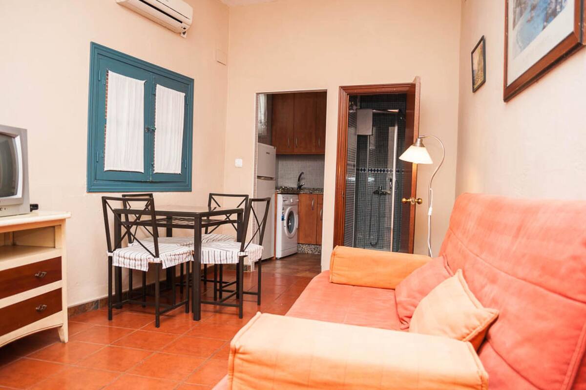 A compact living space with a dining area, a sofa, a TV, and a washing machine in the background.