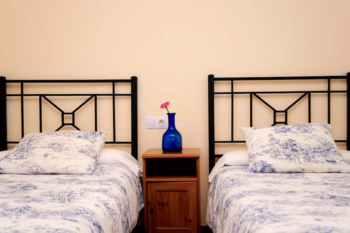A twin room with two beds, a nightstand with a vase, and a wall socket.