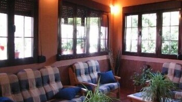 A cozy room with a checkered sofa, a wooden coffee table, and potted plants. - Apartamentos Jucar (Tragacete)
