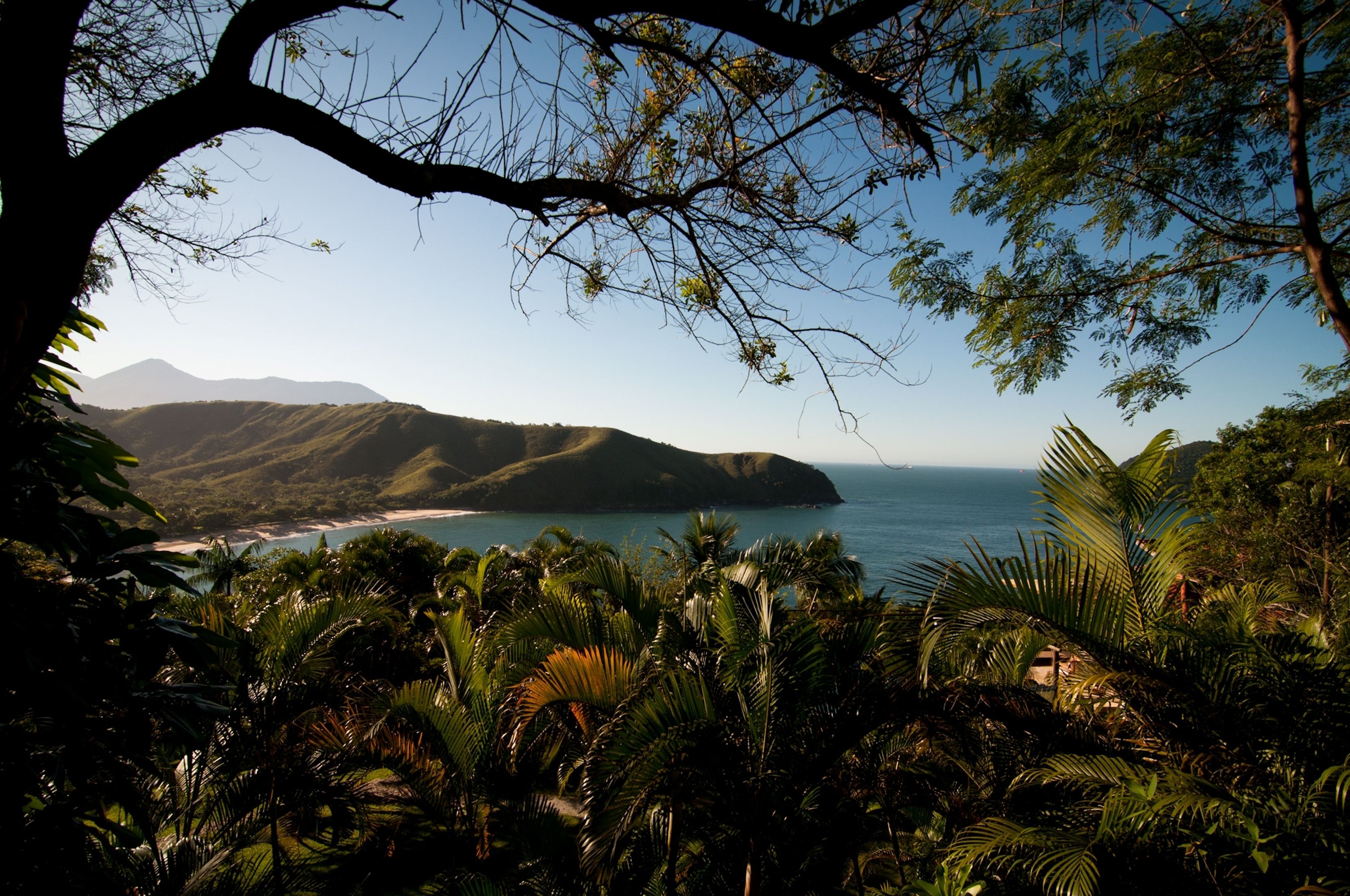 A tropical landscape with dense foliage, a beach, and distant mountains.