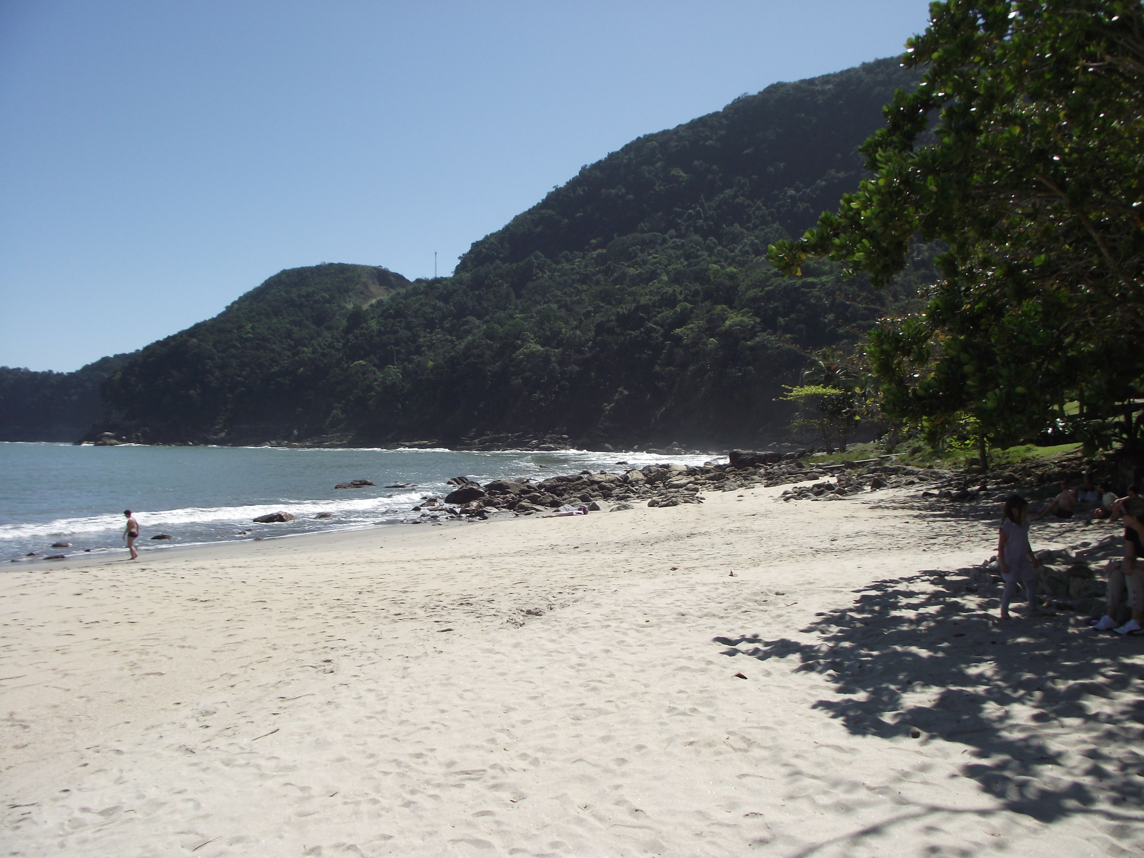 A beach with a rocky shoreline, a clear sky, and a forested hill in the background.