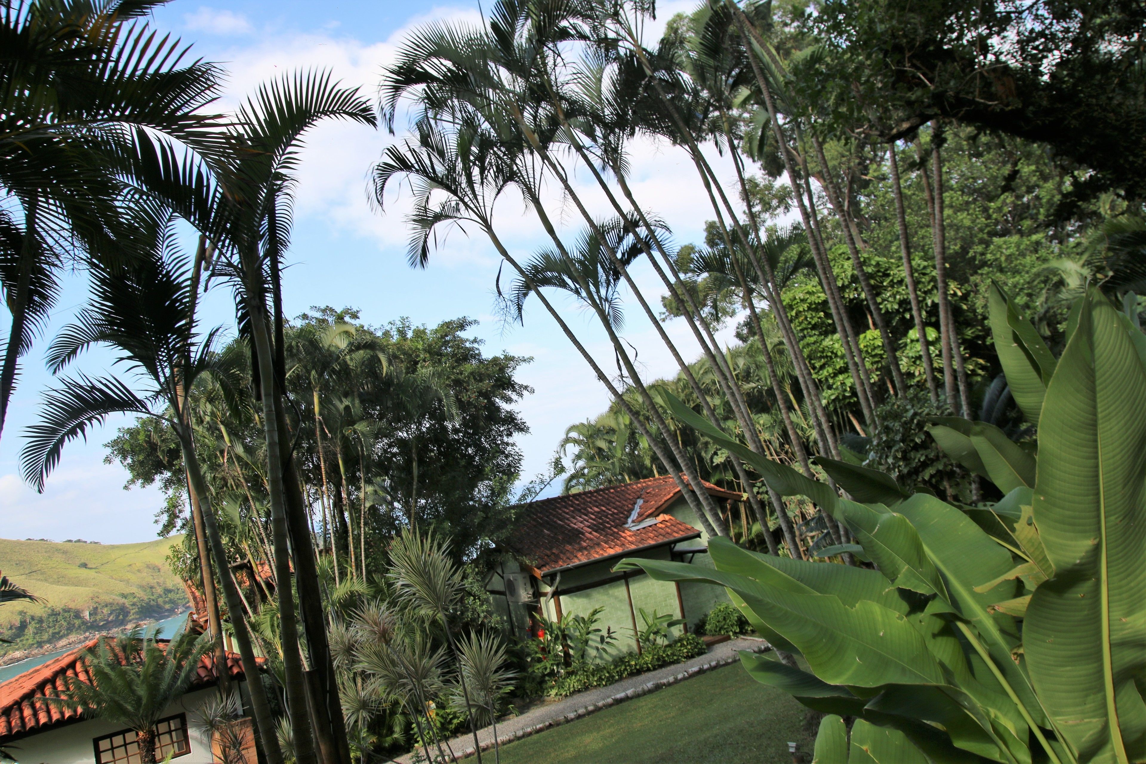 Pemandangan dari kamar