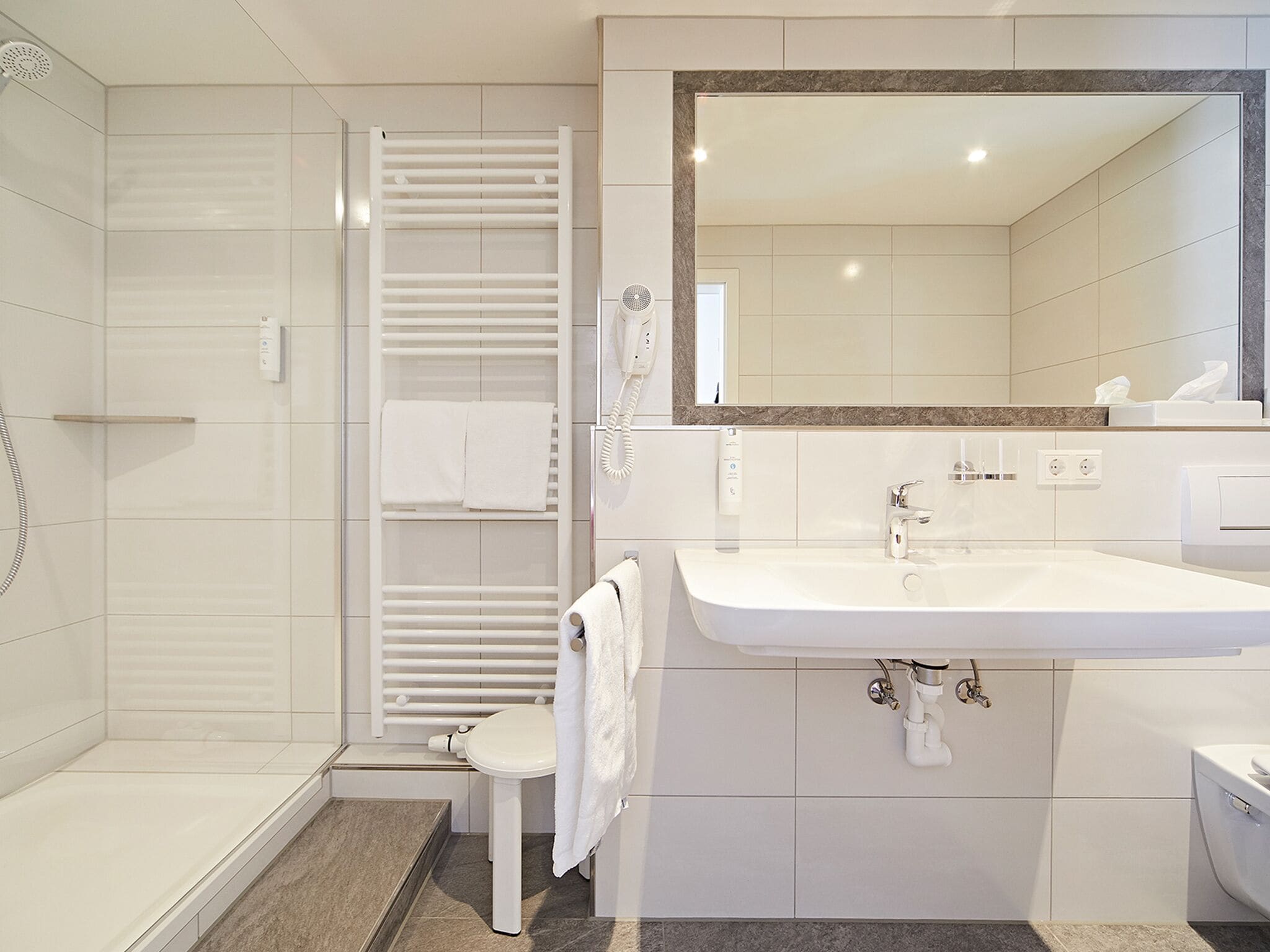 A modern bathroom with a walk-in shower, a toilet, a sink, and a mirror.