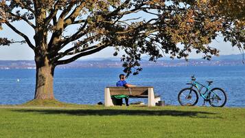 Una persona sentada en un banco bajo un árbol, cerca de un lago, con una bicicleta a su lado.