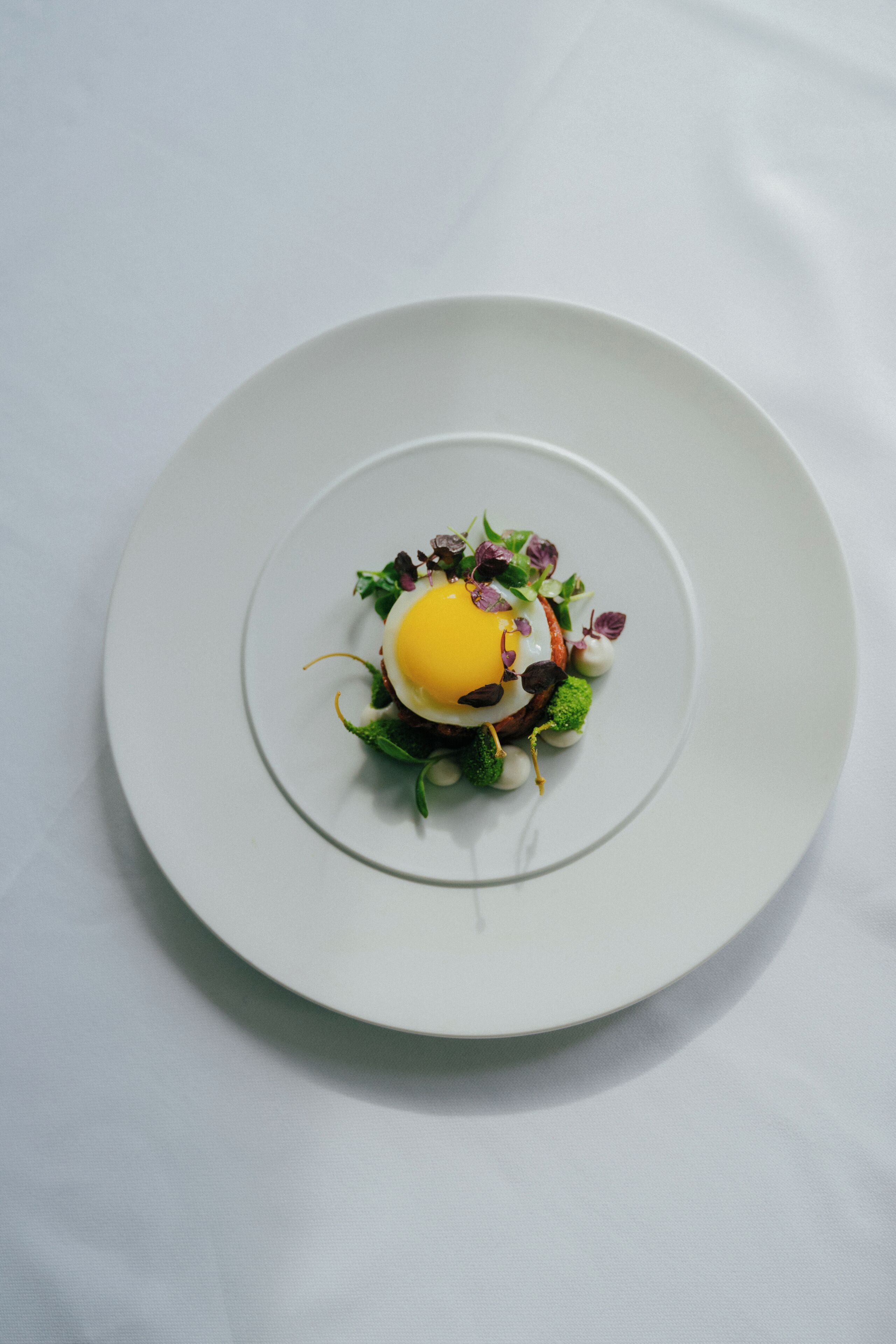 A white plate with a dish consisting of a poached egg, greens, and other ingredients.