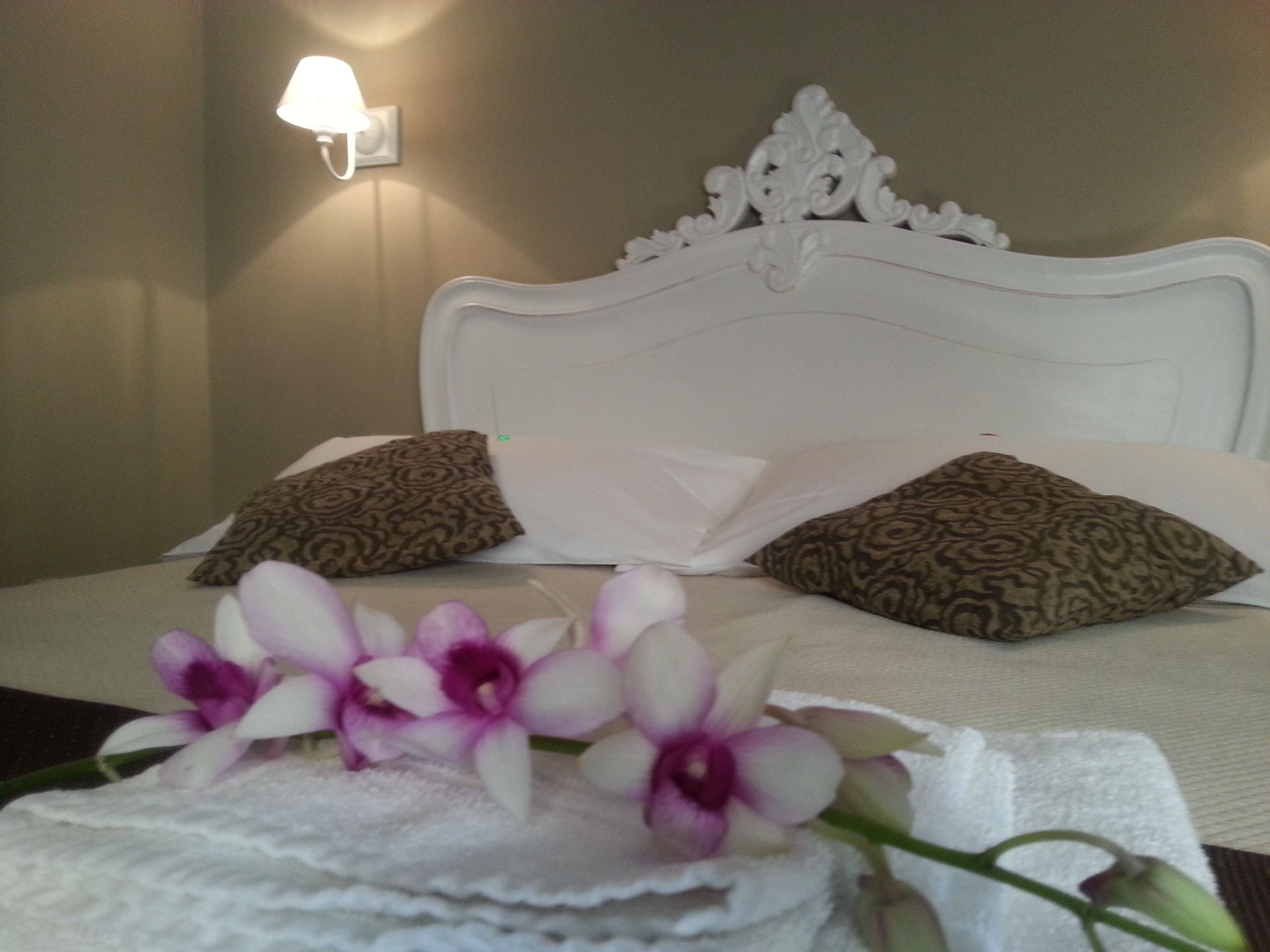 Photo - Hotel Nuovo Nord