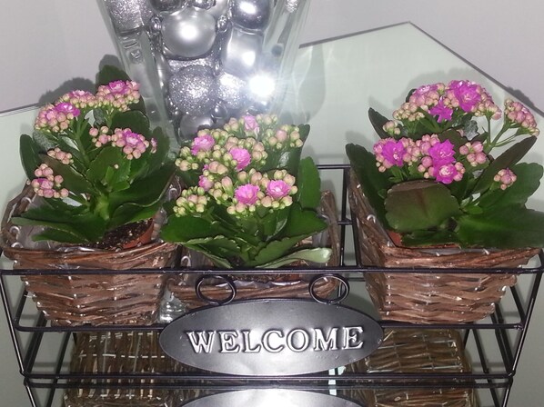 A welcome sign on a glass shelf with three potted plants. - Hotel Nuovo Nord (Genoa)