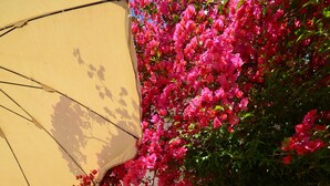 Property amenity - Baglio Ferlito (Buseto Palizzolo)