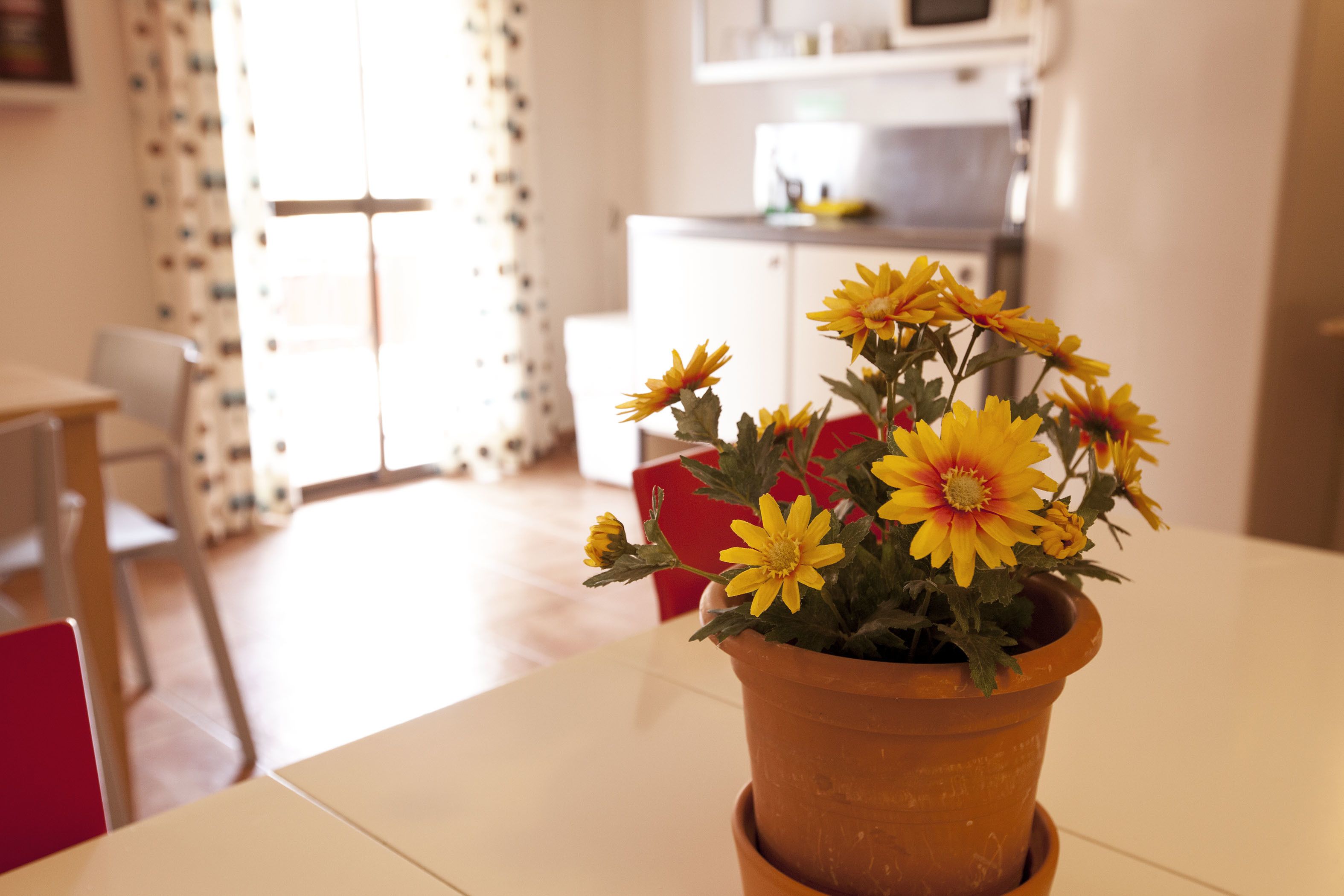 Foto - Hotel Serramar