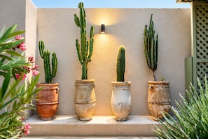 Four cacti in terracotta pots against a wall with a light fixture. - Riad Jona (Marrakech)