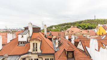 Deluxe Duplex | View from room