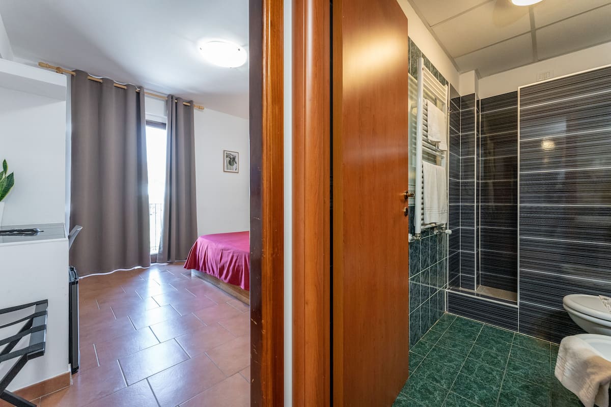 A hotel room with a wooden door, a shower with black tiles, a bed with a pink bedspread, and a small plant.