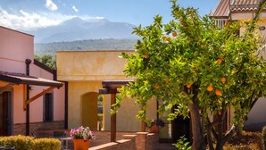 A courtyard with a tree bearing fruit, a brick wall, and a mountain in the background. - La Terra dei Sogni Country Hotel (Fiumefreddo di Sicilia)