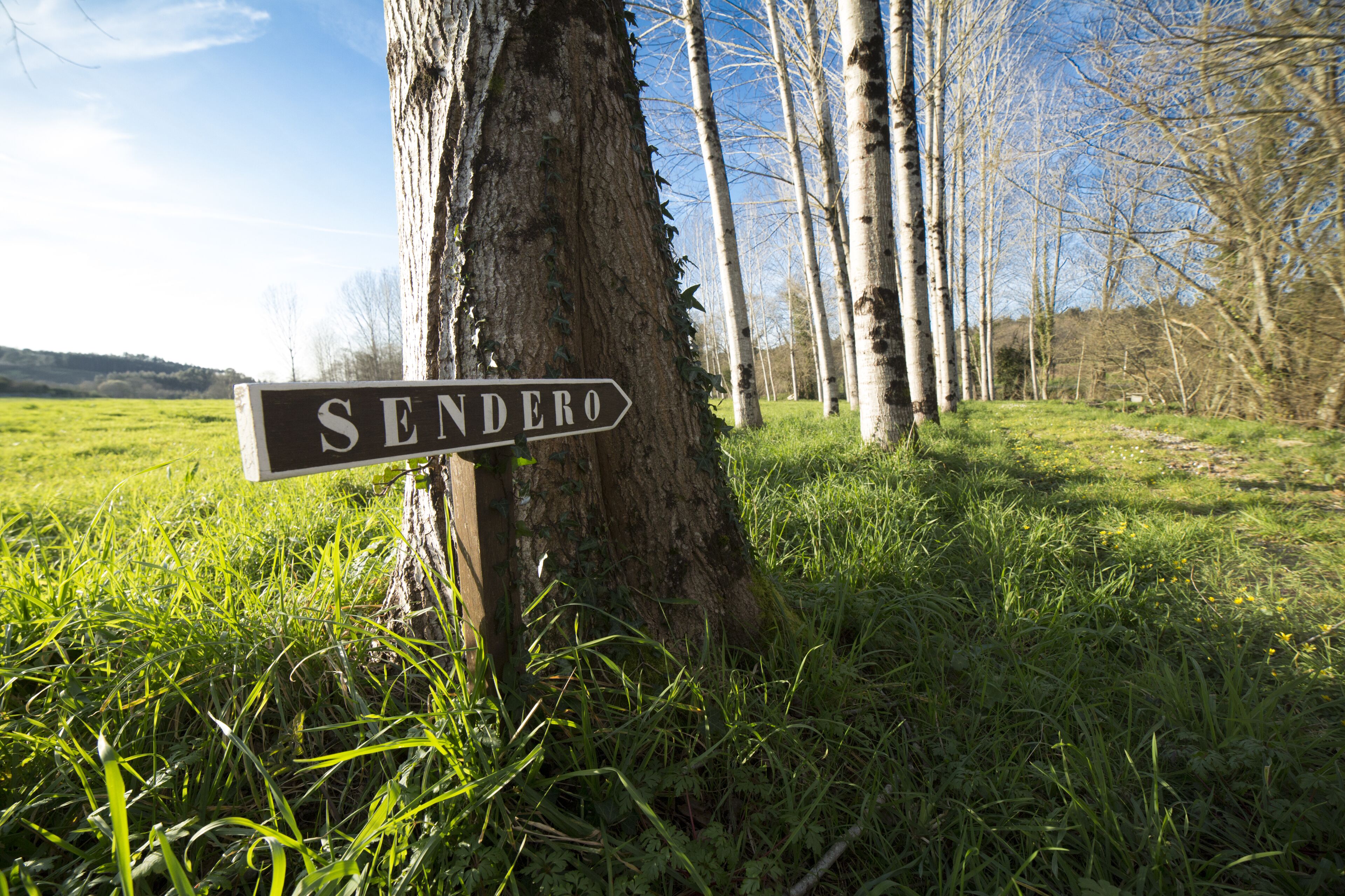 A signpost with the word "Sendero" in a rural setting with trees and grass.